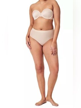 Spanx Sheer Control Bikini 40132R